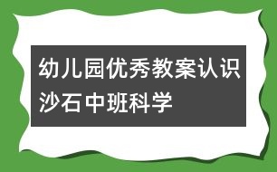幼兒園優(yōu)秀教案：認(rèn)識(shí)沙石（中班科學(xué)）