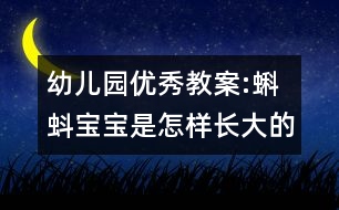 幼兒園優(yōu)秀教案:蝌蚪寶寶是怎樣長大的　（中班科學(xué)活動(dòng)）