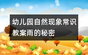 幼兒園自然現(xiàn)象常識教案：雨的秘密