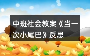 中班社會教案《當(dāng)一次小尾巴》反思