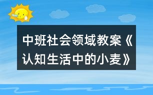 中班社會領域教案《認知生活中的小麥》反思
