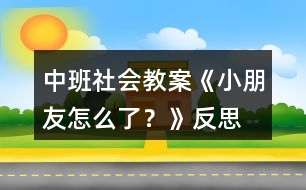 中班社會(huì)教案《小朋友怎么了？》反思