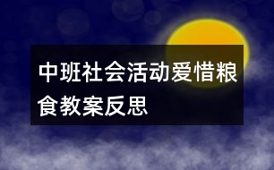 中班社會(huì)活動(dòng)愛惜糧食教案反思