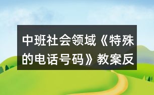 中班社會(huì)領(lǐng)域《特殊的電話號碼》教案反思