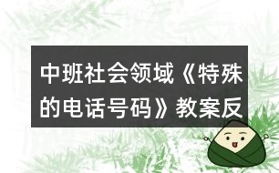 中班社會(huì)領(lǐng)域《特殊的電話號碼》教案反思