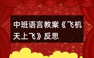 中班語(yǔ)言教案《飛機(jī)天上飛》反思