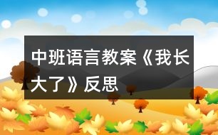 中班語(yǔ)言教案《我長(zhǎng)大了》反思