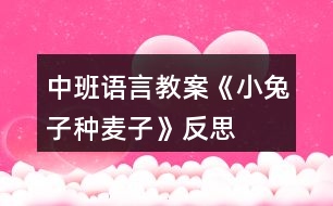 中班語(yǔ)言教案《小兔子種麥子》反思