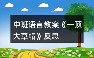 中班語(yǔ)言教案《一頂大草帽》反思
