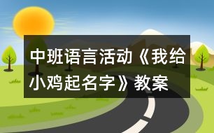 中班語(yǔ)言活動(dòng)《我給小雞起名字》教案