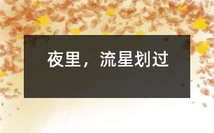夜里，流星劃過