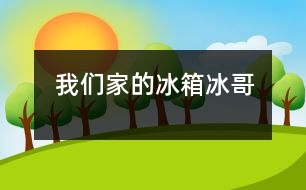 我們家的冰箱——“冰哥”