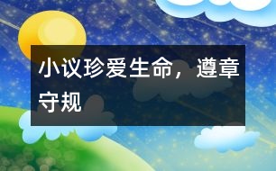 小議“珍愛生命，遵章守規(guī)”