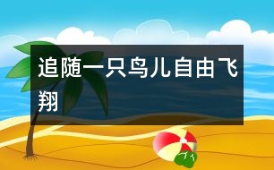 追隨一只鳥兒自由飛翔