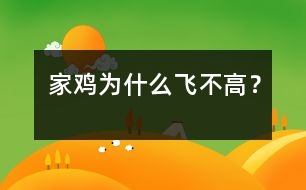 家雞為什么飛不高？