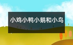 小雞、小鴨、小鵝和小鳥