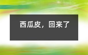 西瓜皮，回來了
