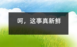 呵，這事真新鮮