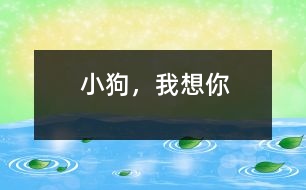 小狗，我想你