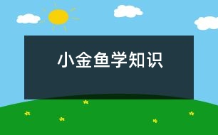 小金魚學(xué)知識(shí)
