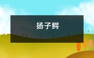揚子鱷