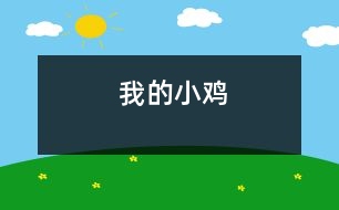 我的小雞