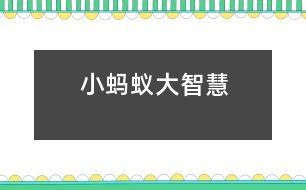 小螞蟻大智慧