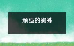 頑強的蜘蛛