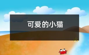 可愛(ài)的小貓