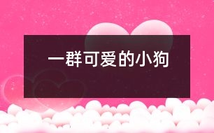 一群可愛的小狗