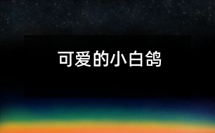 可愛(ài)的小白鴿