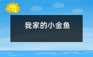 我家的小金魚(yú)