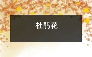 杜鵑花
