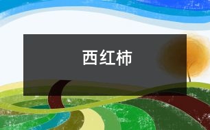 西紅柿