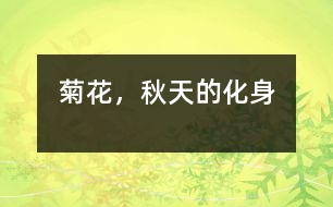 菊花，秋天的化身