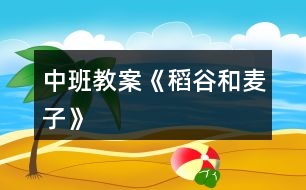 中班教案《稻谷和麥子》