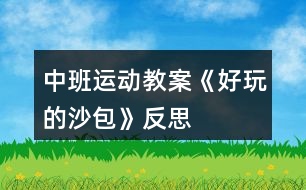 中班運(yùn)動教案《好玩的沙包》反思