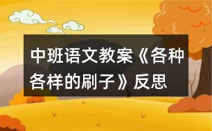 中班語文教案《各種各樣的刷子》反思