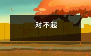 對(duì)不起