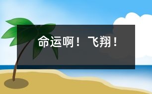 命運(yùn)?。★w翔！