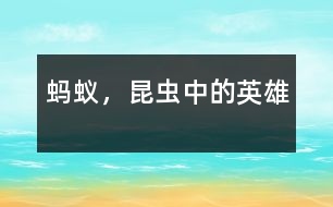 螞蟻，昆蟲中的英雄