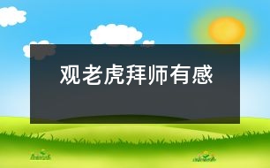 觀老虎拜師有感