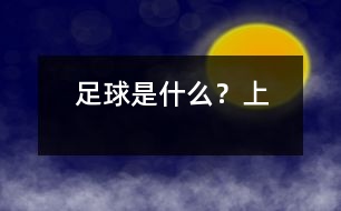 足球是什么？（上）