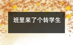 班里來了個轉學生