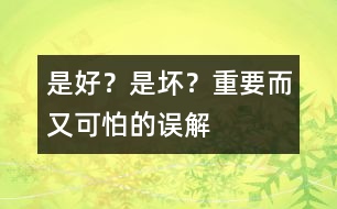 是好？是壞？——重要而又可怕的誤解