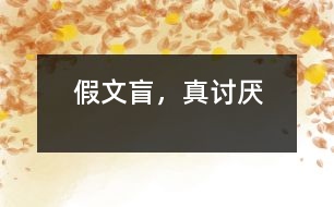 假文盲，真討厭