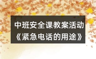中班安全課教案活動(dòng)《緊急電話(huà)的用途》反思
