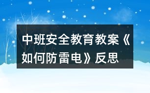 中班安全教育教案《如何防雷電》反思
