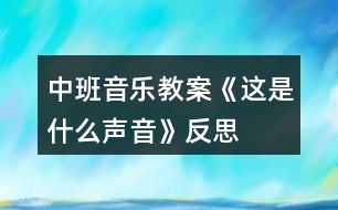中班音樂(lè)教案《這是什么聲音》反思
