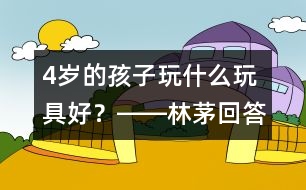 4歲的孩子玩什么玩具好？――林茅回答